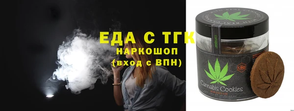 индика Абаза