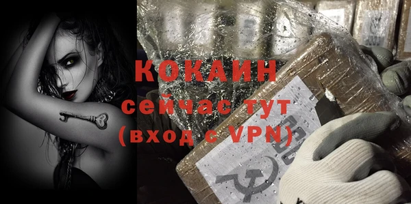 индика Абаза