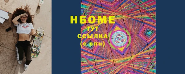 индика Абаза