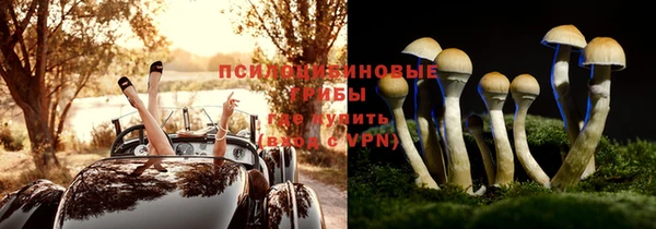 бошки Алексин