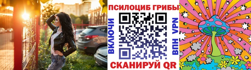 Галлюциногенные грибы Psilocybine cubensis  нарко площадка наркотические препараты  Болгар 